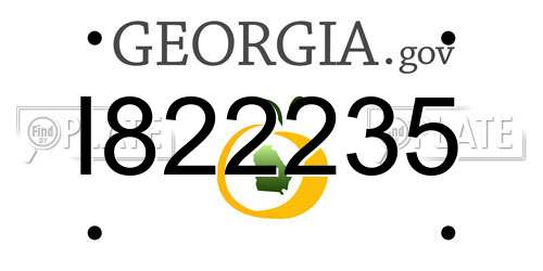 I822235 Georgia License Plate