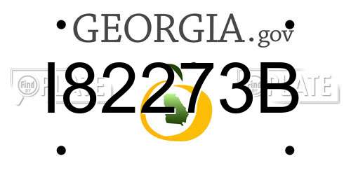 I82273B Georgia License Plate
