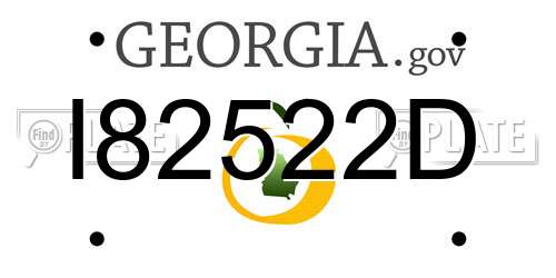 I82522D Georgia License Plate