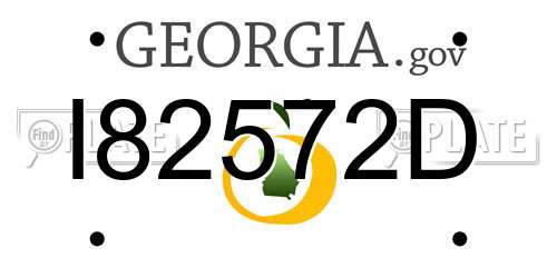 I82572D Georgia License Plate