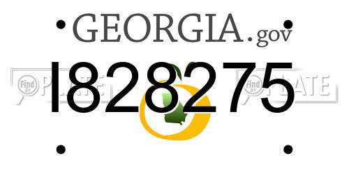 I828275 Georgia License Plate