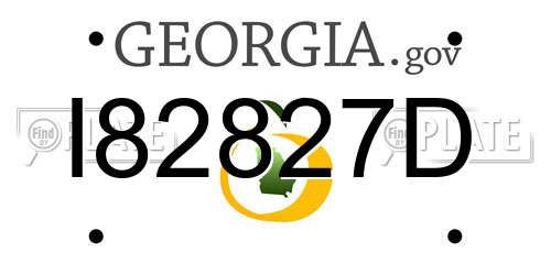 I82827D Georgia License Plate