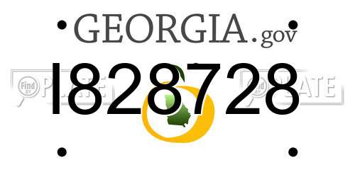 I828728 Georgia License Plate