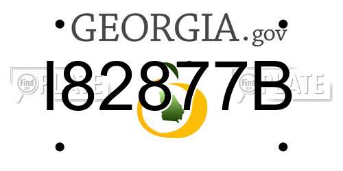 I82877B Georgia License Plate