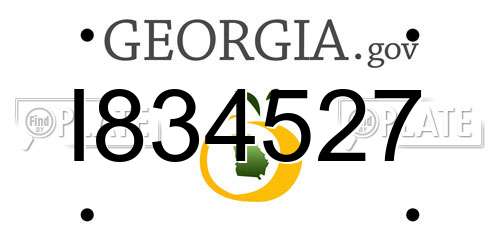I834527 Georgia License Plate