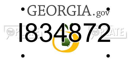 I834872 Georgia License Plate