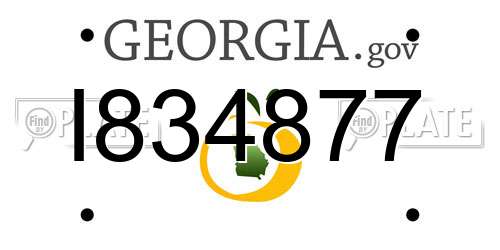 I834877 Georgia License Plate