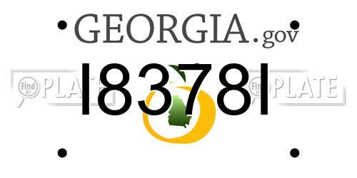 I8378I Georgia License Plate