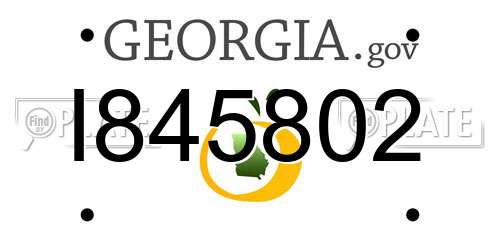 I845802 Georgia License Plate