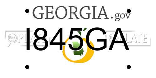 I845GA Georgia License Plate