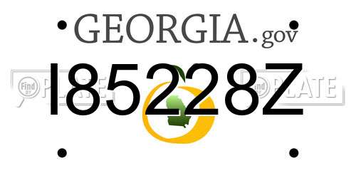 I85228Z Georgia License Plate