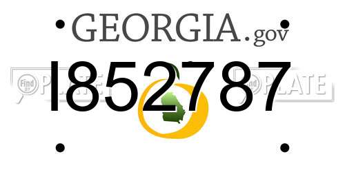 I852787 Georgia License Plate