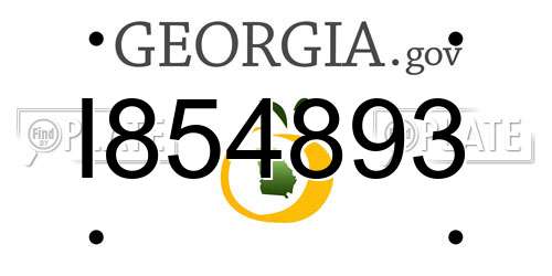 I854893 Georgia License Plate