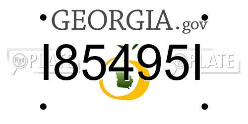 I85495I Georgia License Plate