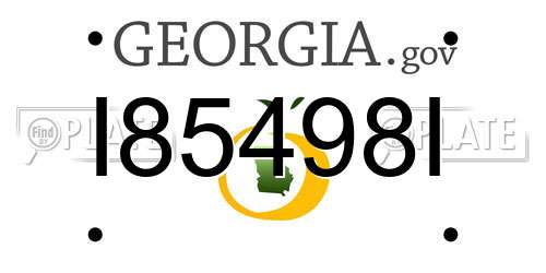 I85498I Georgia License Plate