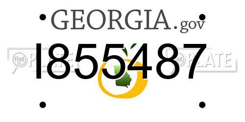 I855487 Georgia License Plate