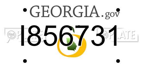 I856731 Georgia License Plate