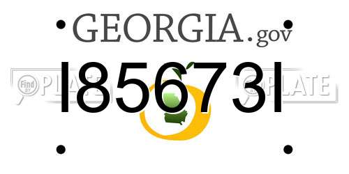 I85673I Georgia License Plate
