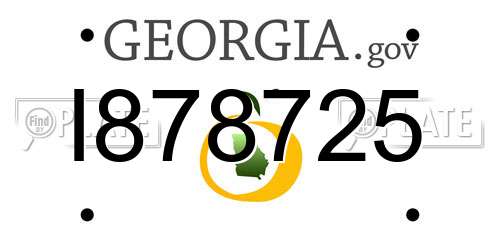 I878725 Georgia License Plate