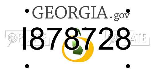 I878728 Georgia License Plate