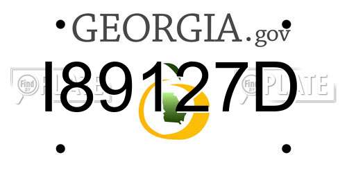 I89127D Georgia License Plate