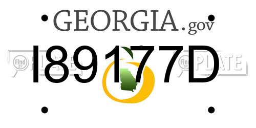 I89177D Georgia License Plate