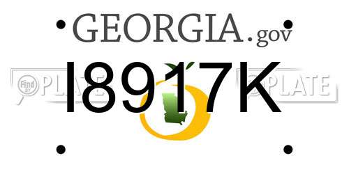 I8917K Georgia License Plate