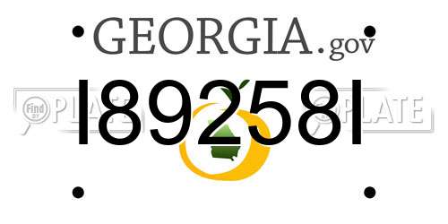 I89258I Georgia License Plate