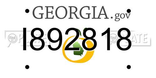 I892818 Georgia License Plate