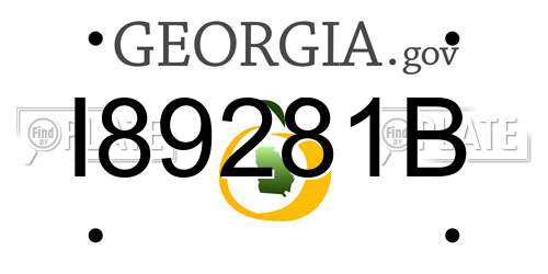 I89281B Georgia License Plate