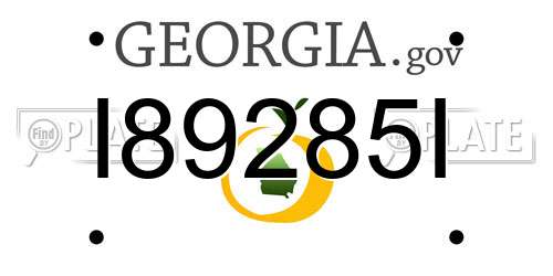 I89285I Georgia License Plate