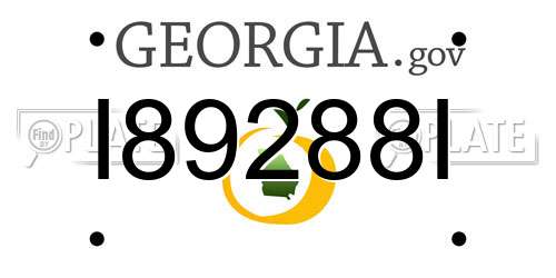 I89288I Georgia License Plate
