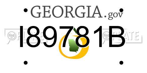 I89781B Georgia License Plate