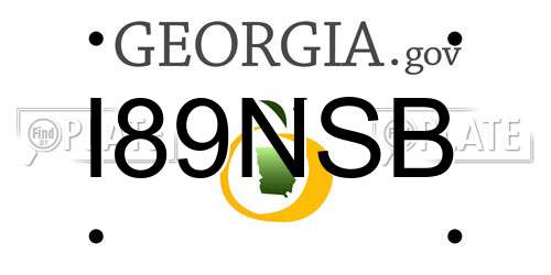 I89NSB Georgia License Plate