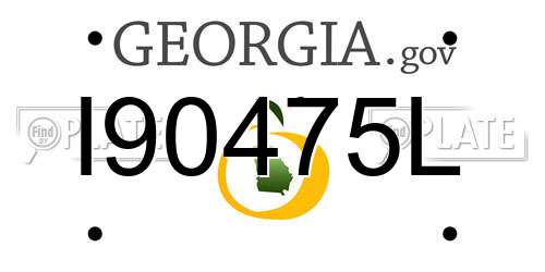 I90475L Georgia License Plate