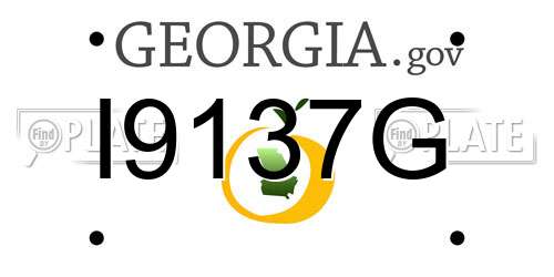 I9137G Georgia License Plate