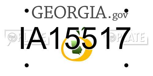 IA15517 Georgia License Plate