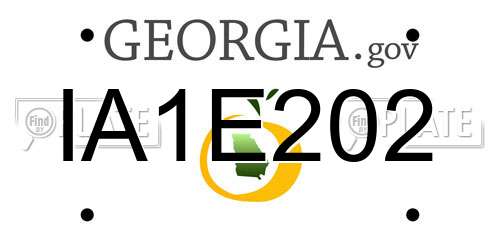 IA1E202 Georgia License Plate