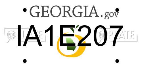 IA1E207 Georgia License Plate