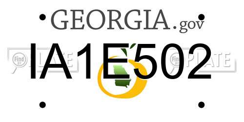 IA1E502 Georgia License Plate