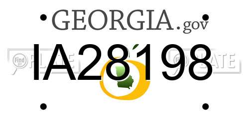 IA28198 Georgia License Plate