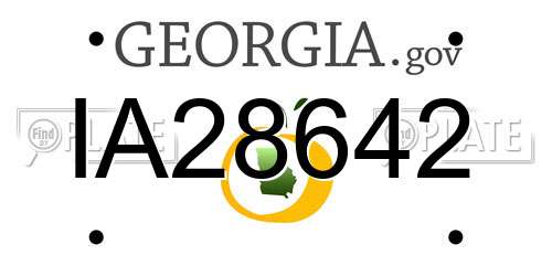 IA28642 Georgia License Plate