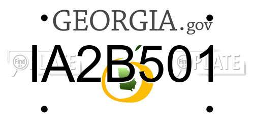 IA2B501 Georgia License Plate