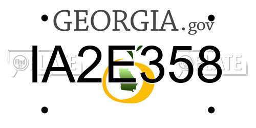IA2E358 Georgia License Plate