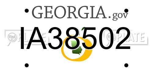 IA38502 Georgia License Plate