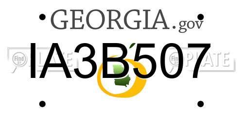 IA3B507 Georgia License Plate