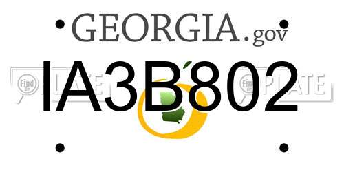 IA3B802 Georgia License Plate