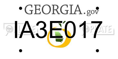 IA3E017 Georgia License Plate