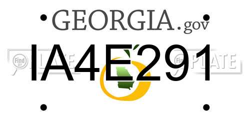 IA4E291 Georgia License Plate