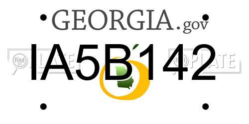 IA5B142 Georgia License Plate